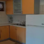 Smilje I Maslina * Gornji Karin