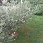 Apartment Smilje I Maslina *