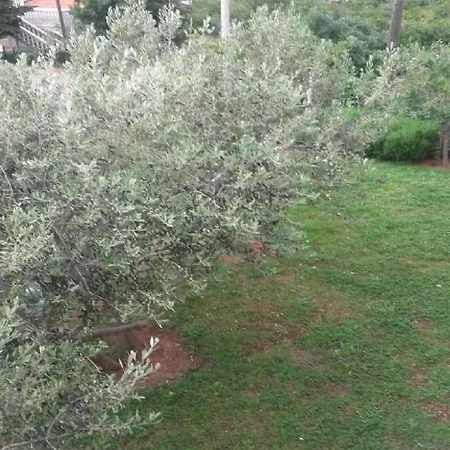 Apartman Smilje I Maslina *