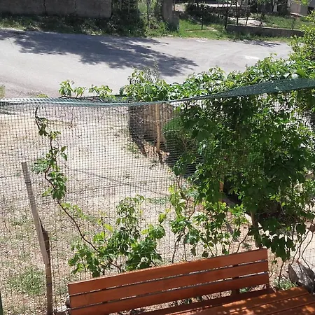 Smilje I Maslina Gornji Karin