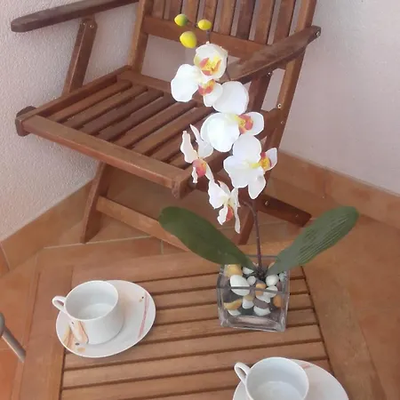 Smilje I Maslina *